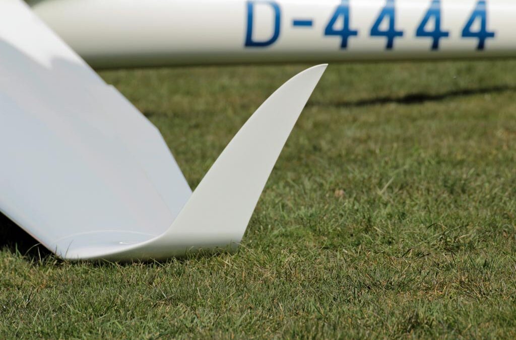 Winglet LS 8 NEO
