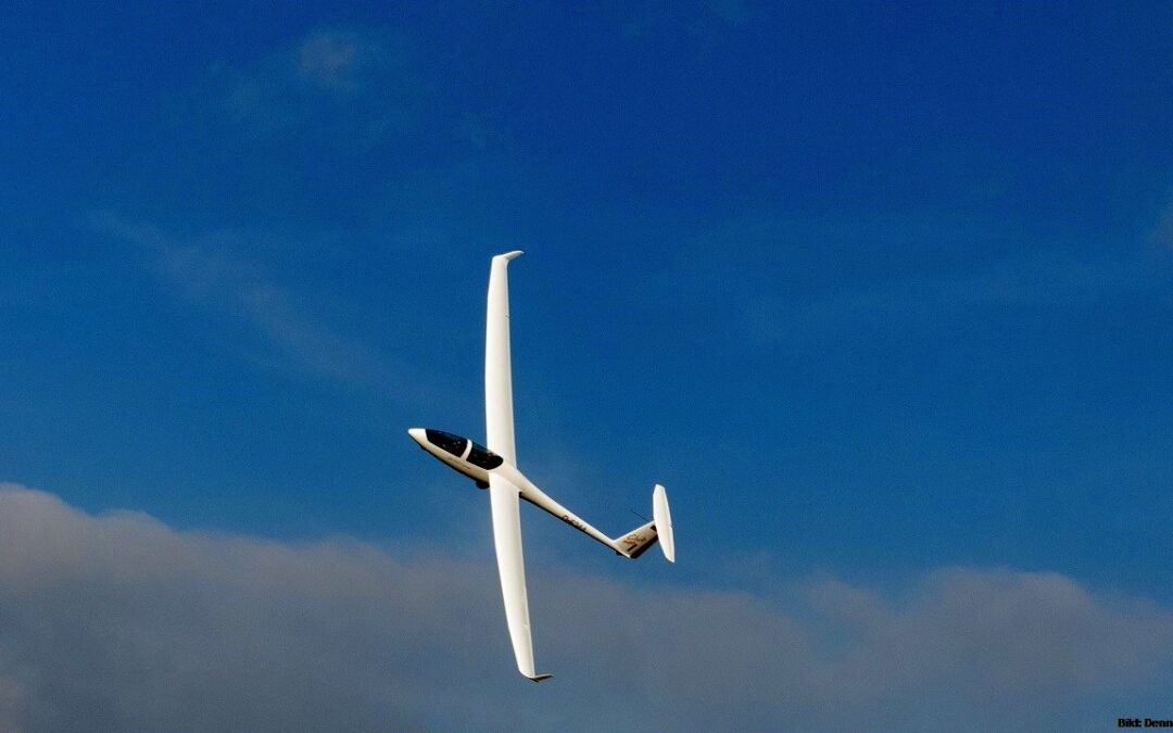 DG-1001Club neo